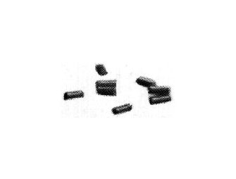 IMPA手冊(cè) 編號(hào)850289打火器備用火石(圖1)