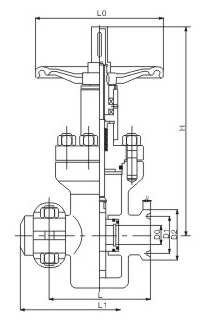 Z83Y卡箍閘閥外形結(jié)構(gòu)圖 Z83Y卡箍閘閥(圖1)