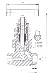 SS-6NBSW8T美標(biāo)焊接針型閥外形結(jié)構(gòu)圖 SS-6NBSW8T美標(biāo)焊接針型閥(圖1)