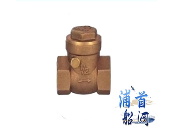 青銅止回閥的作用_青銅止回閥的價(jià)格(圖2) 青銅止回閥的作用_青銅止回閥的價(jià)格(圖2)